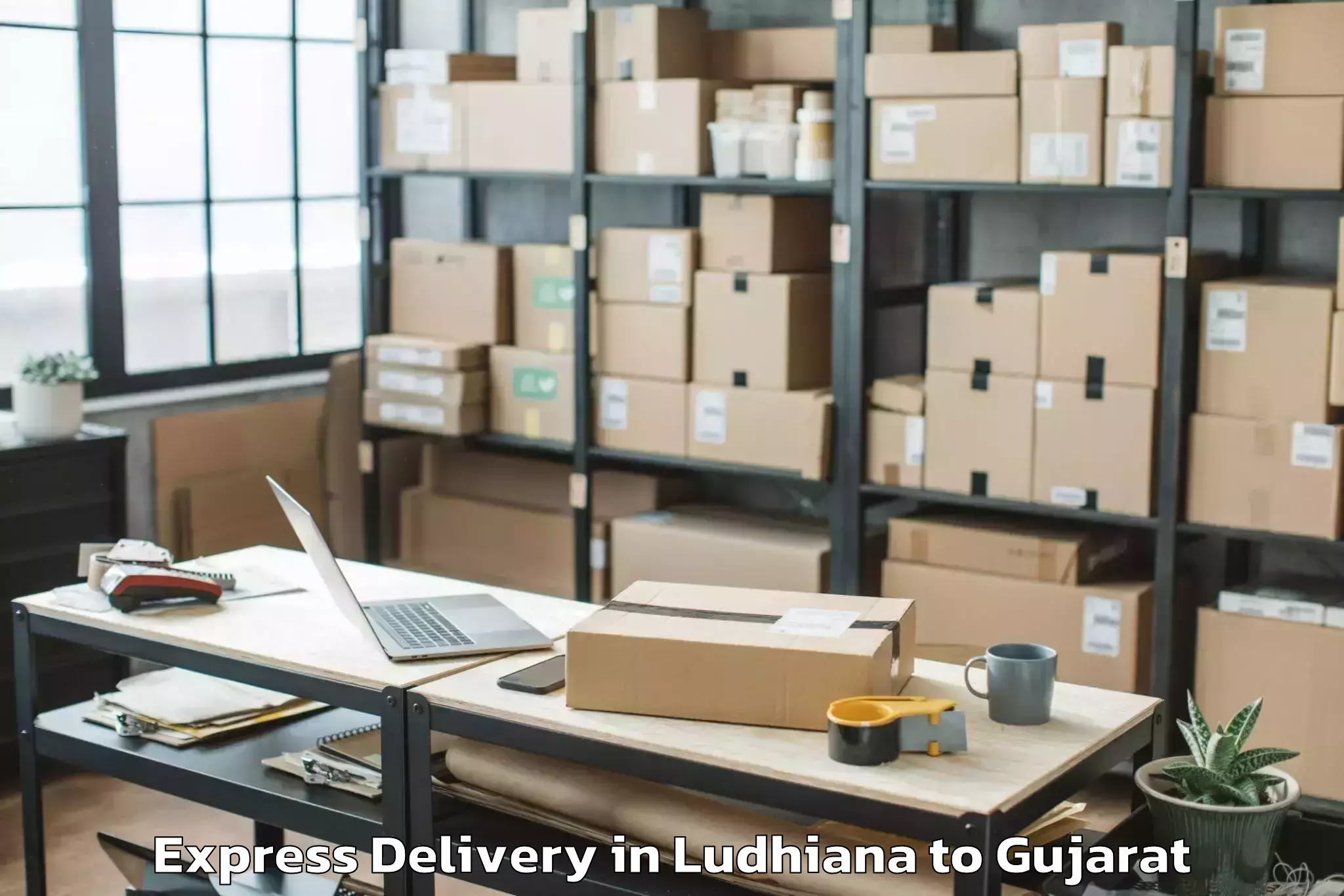 Professional Ludhiana to Gls University Ahmedabad Express Delivery